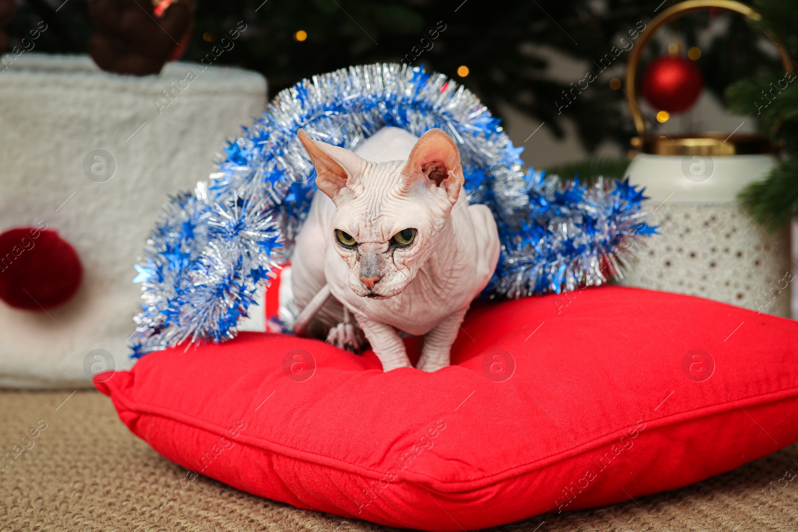 Photo of Adorable Sphynx cat with colorful tinsel on red pillow indoors