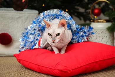 Adorable Sphynx cat with colorful tinsel on red pillow indoors