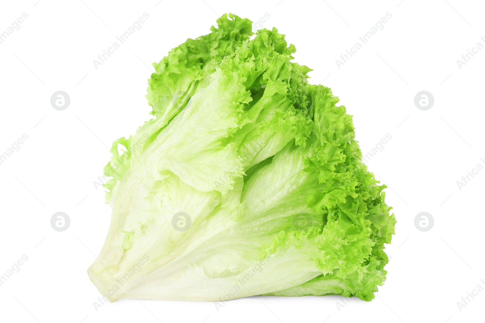 Photo of Fresh lettuce isolated on white. Salad greens