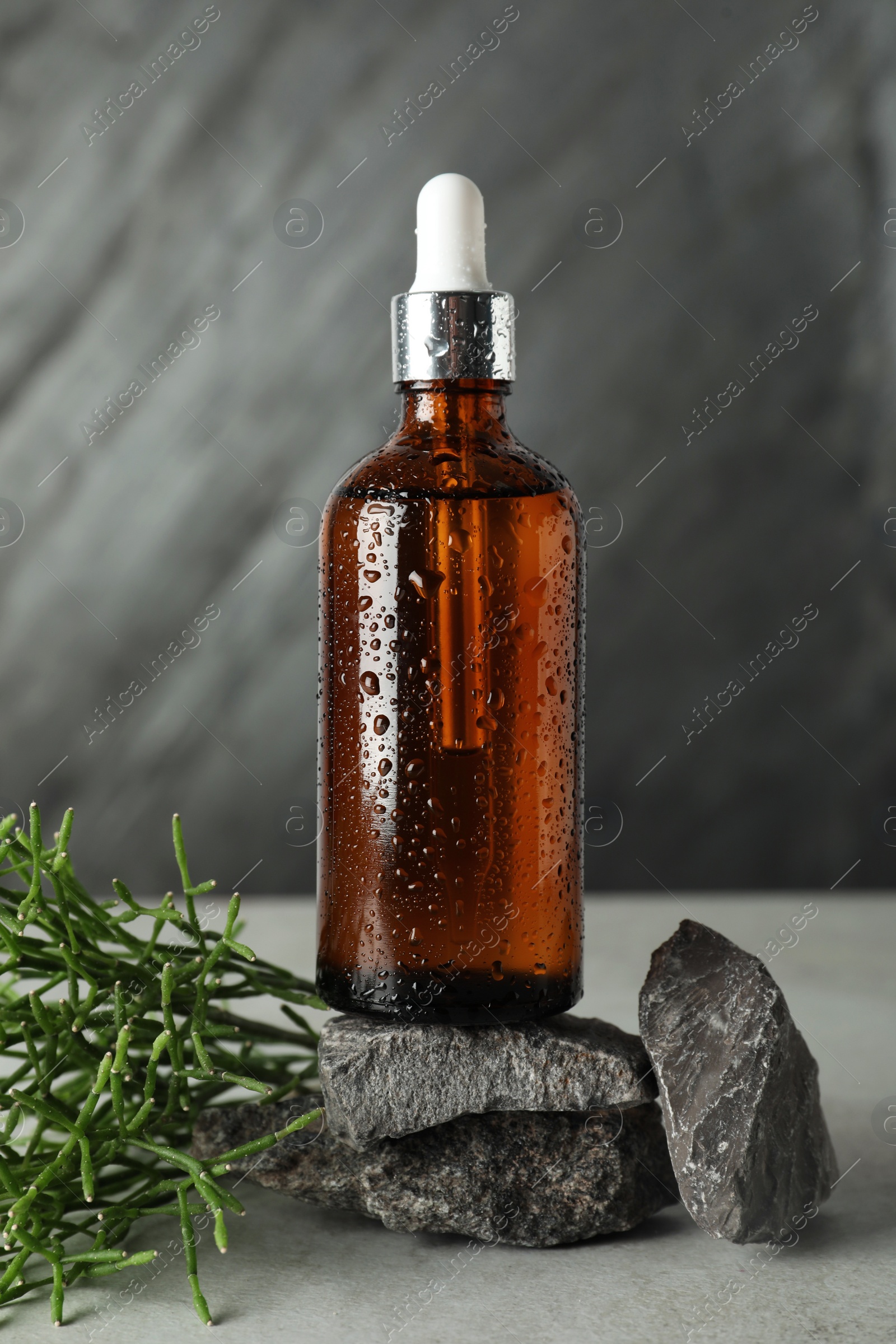 Photo of Bottle of hydrophilic oil, rocks and green plant on light grey table