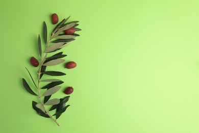 Fresh olives and leaves on light green background, flat lay. Space for text