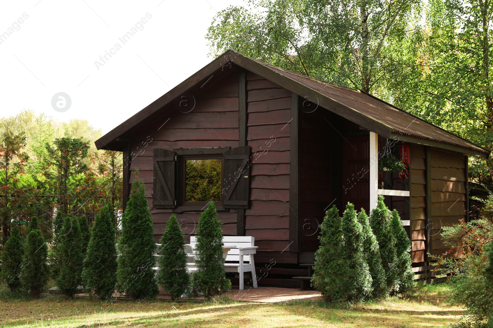 Photo of Cozy wooden house surrounded by lush nature on sunny day