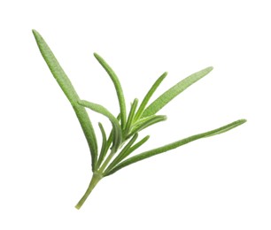 Photo of Aromatic rosemary sprig isolated on white. Fresh herb