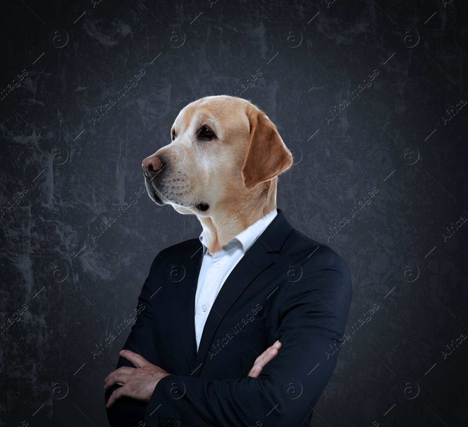 Image of Portrait of businessman with dog face on dark background