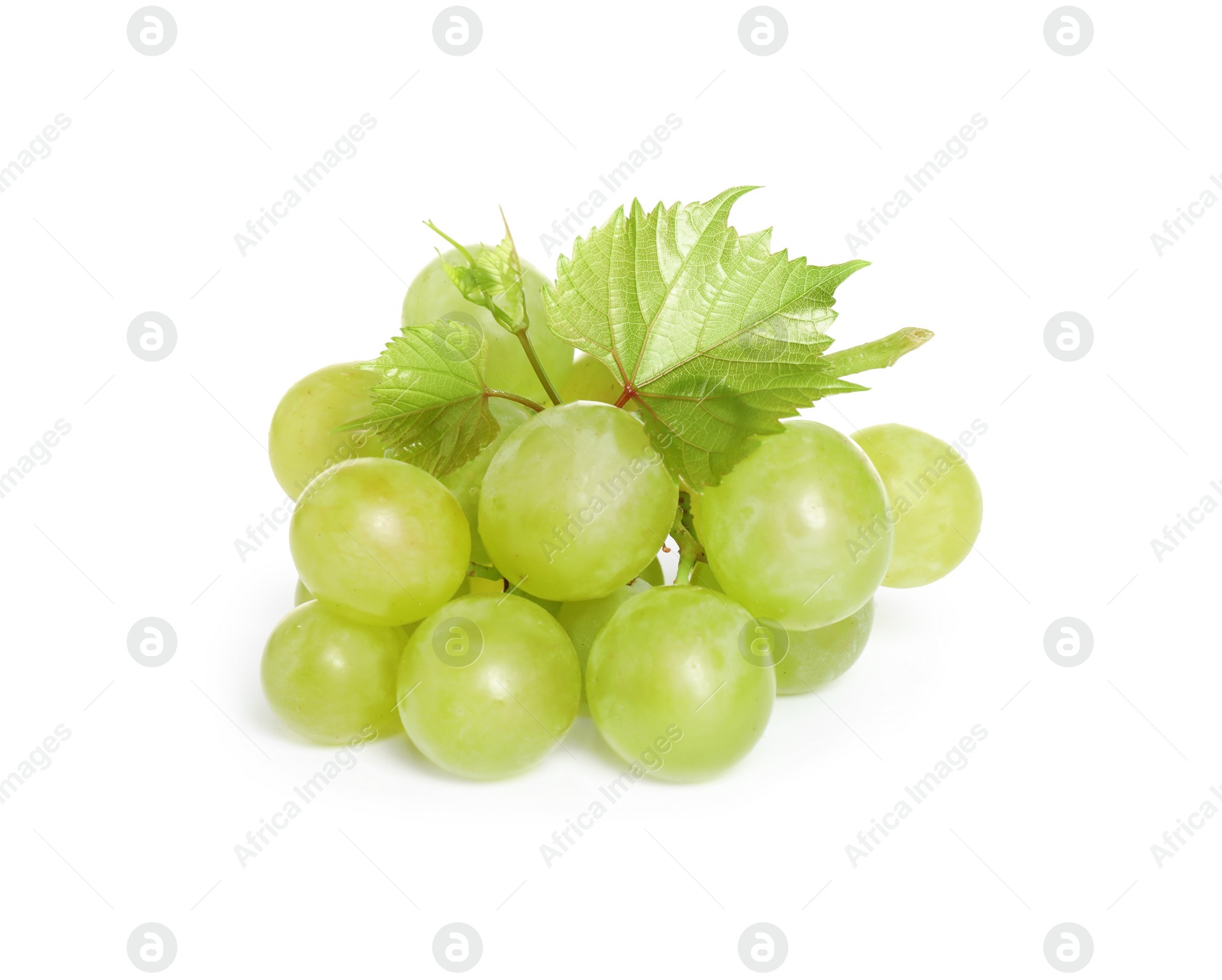 Photo of Bunch of fresh ripe juicy grapes isolated on white