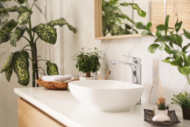 Vessel sink and green plants in stylish bathroom. Interior design