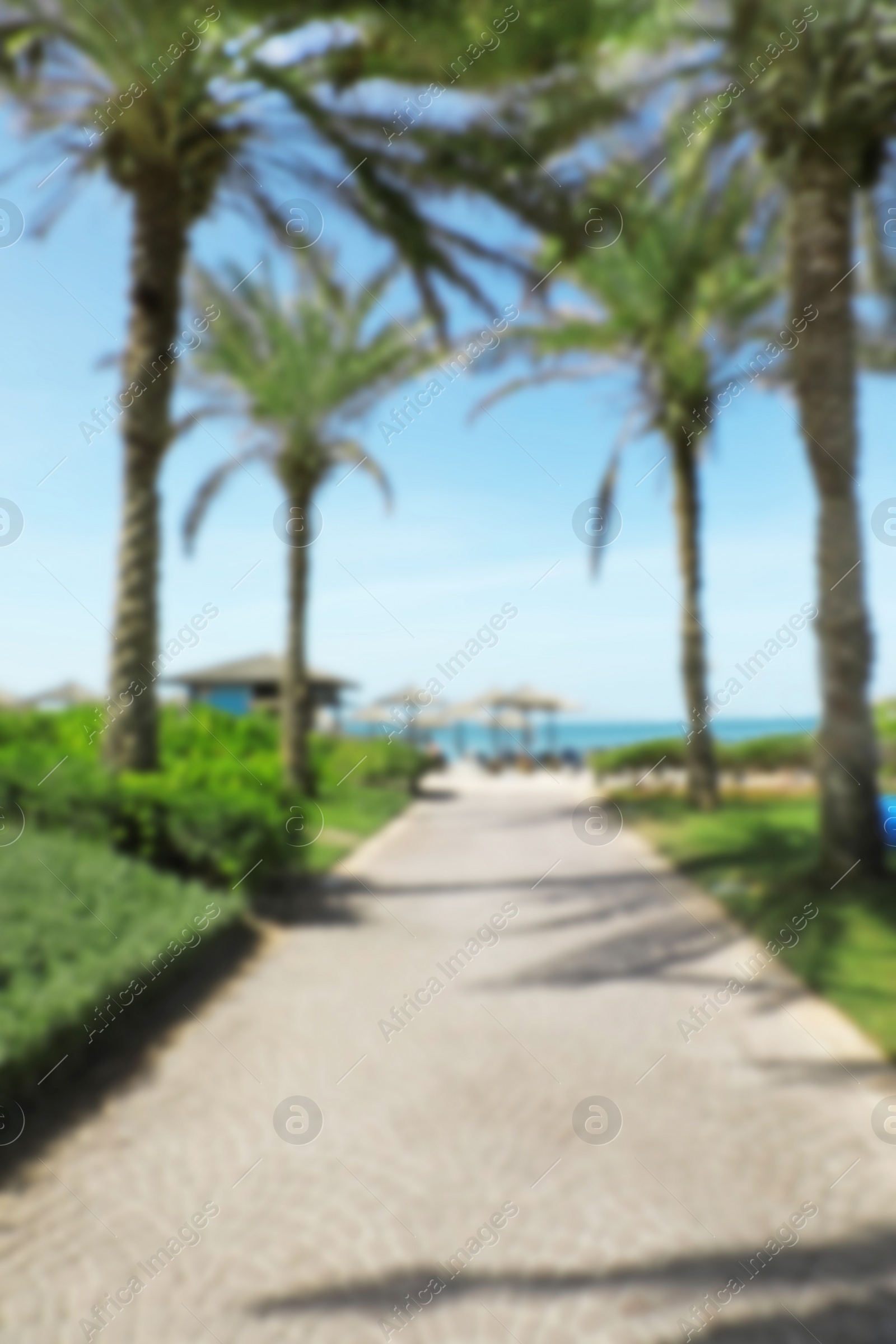 Photo of Blurred view of palm alley leading to tropical beach