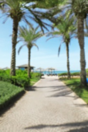 Photo of Blurred view of palm alley leading to tropical beach