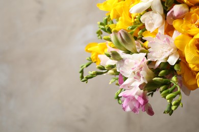 Photo of Beautiful blooming freesias against grey background, closeup. Space for text