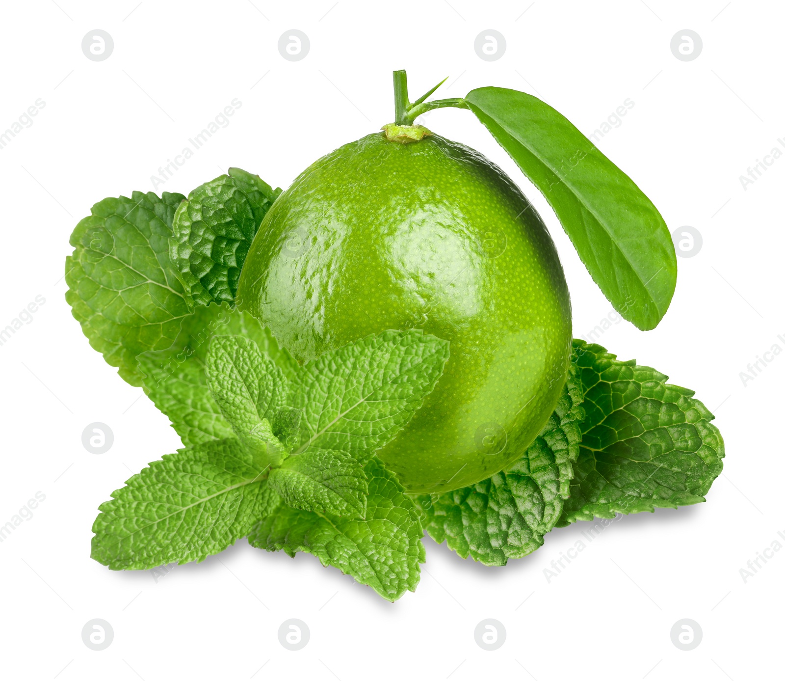 Image of Fresh ripe lime and green mint leaves isolated on white