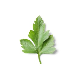 Photo of Fresh green organic parsley on white background, top view