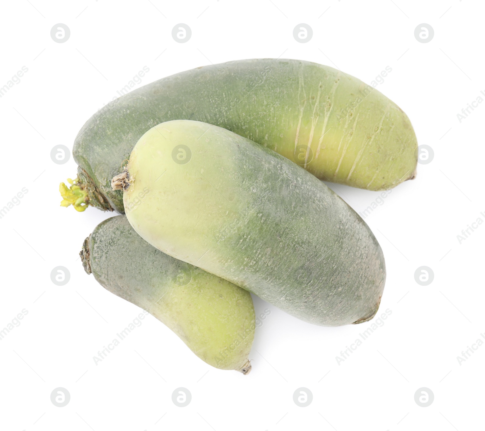 Photo of Green daikon radishes isolated on white, top view