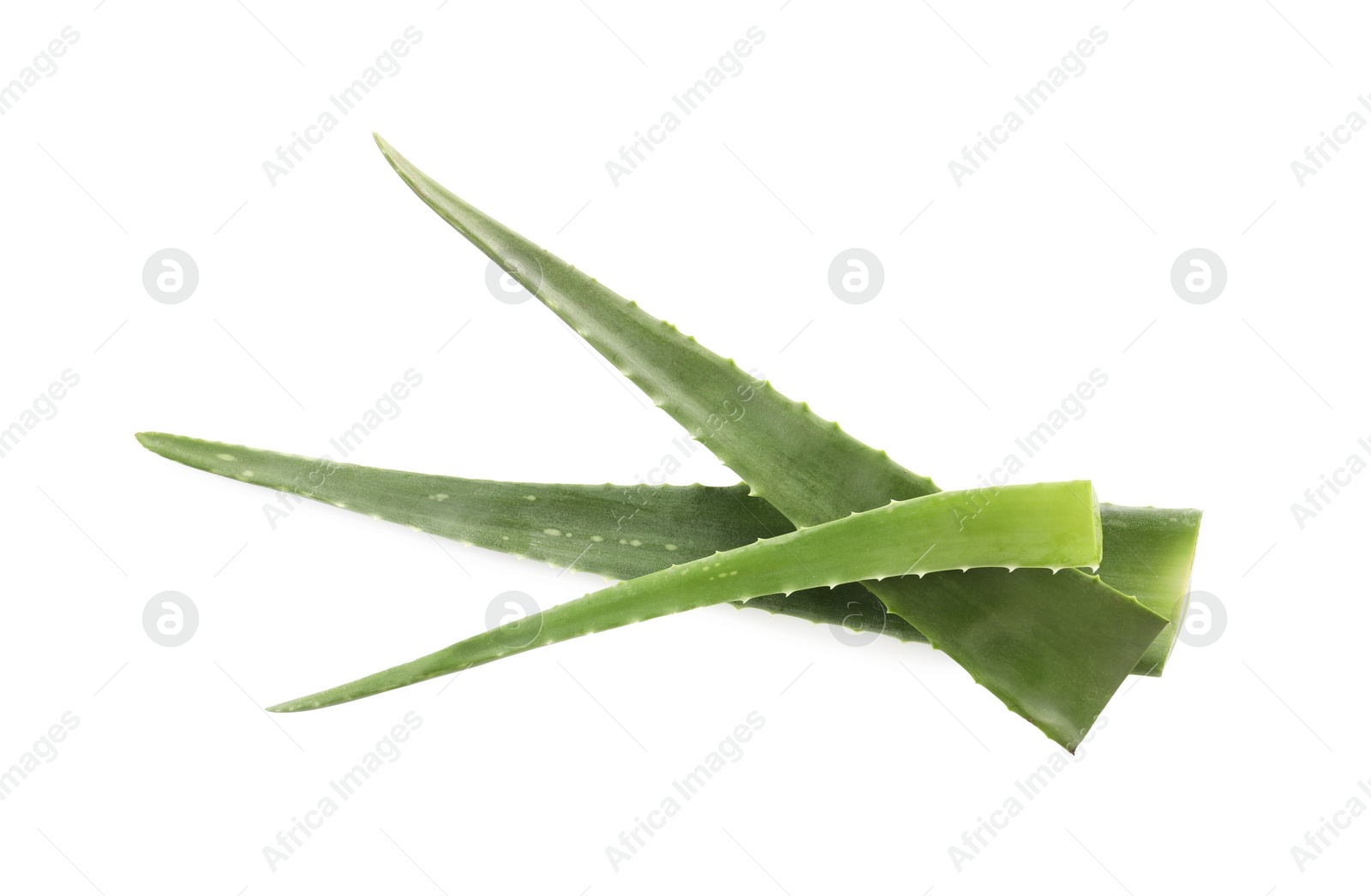 Photo of Green aloe vera leaves isolated on white, top view