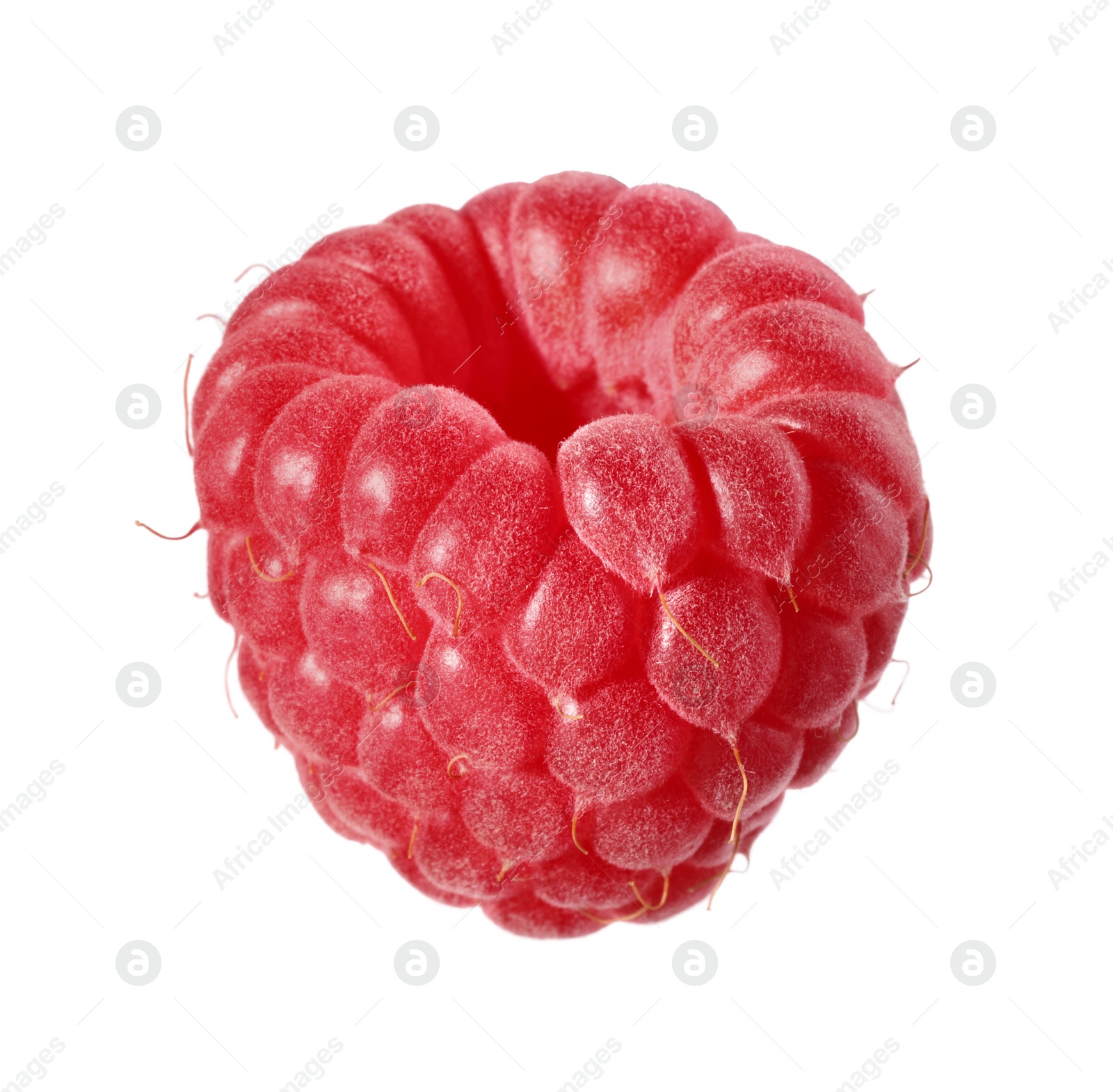 Photo of One tasty ripe raspberry isolated on white