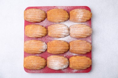 Photo of Delicious madeleine cookies in baking mold on white table, top view