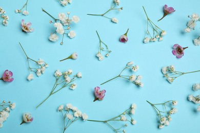 Photo of Floral composition with beautiful flowers on light blue background, flat lay