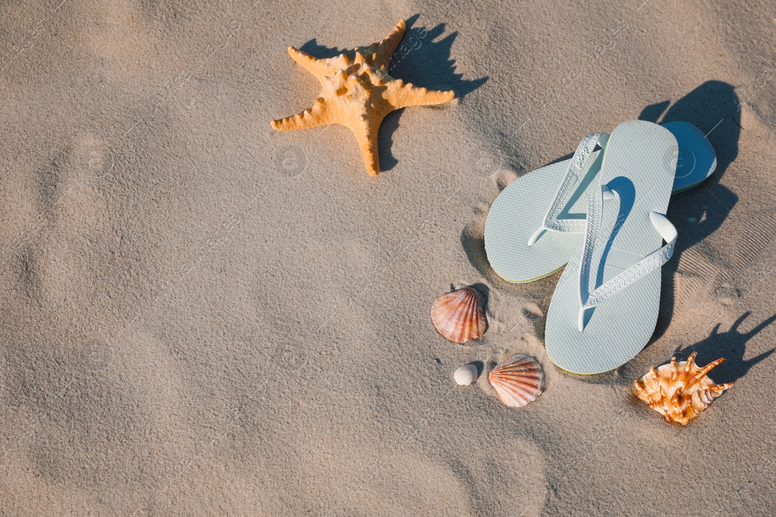 Photo of Stylish flip flops, starfish and sea shells on beach, flat lay. Space for text