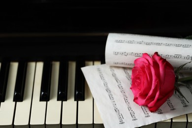 Photo of Beautiful pink rose and musical notes on piano keys