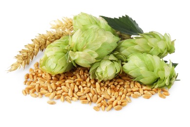 Photo of Fresh green hops, wheat spikes and grains on white background