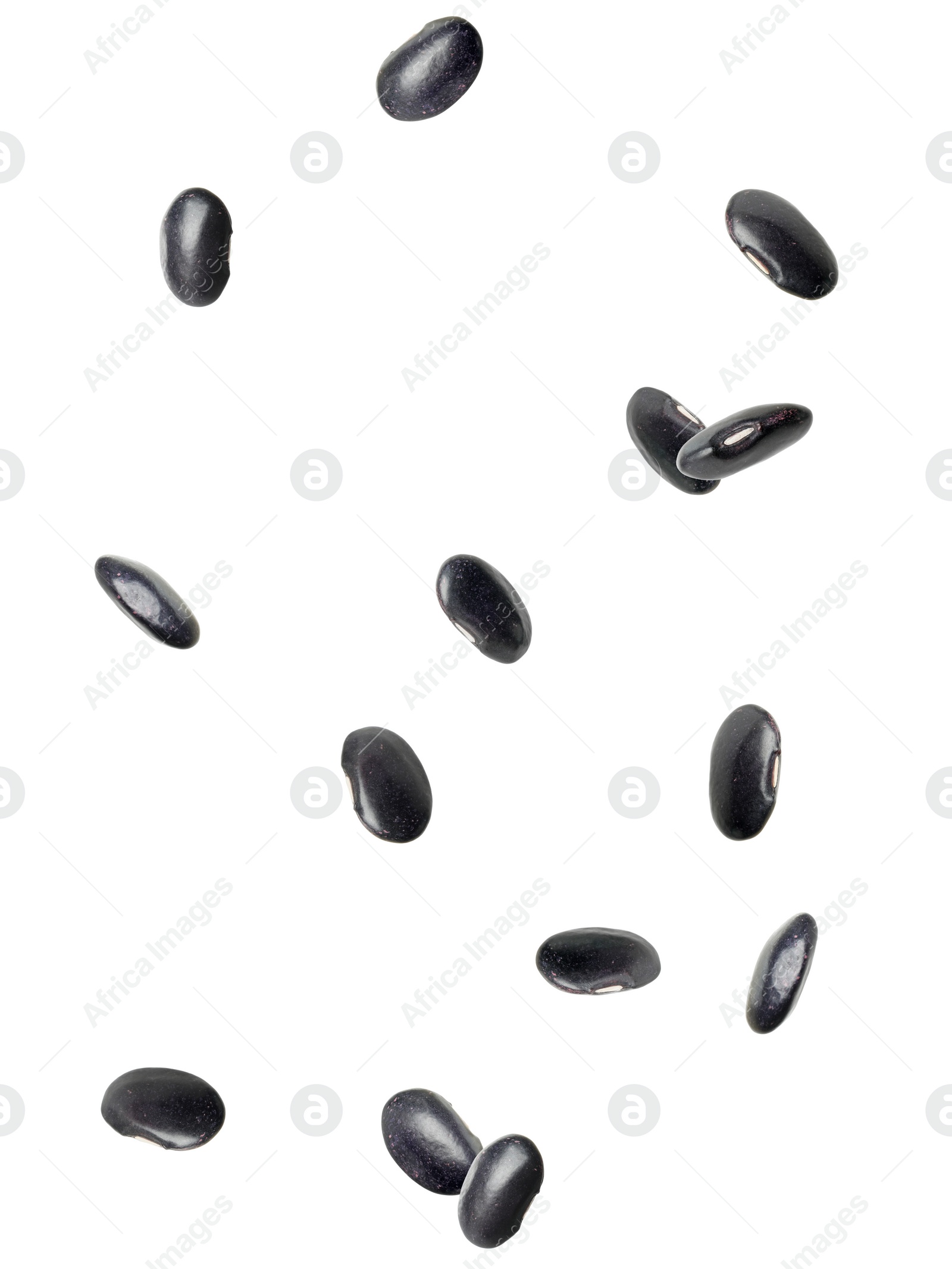 Image of Many black beans falling on white background. Vegan diet 