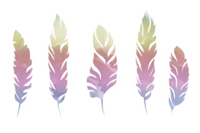 Illustration of Many beautiful feather on white background, illustration