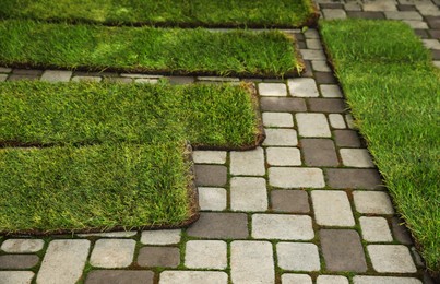 Photo of Unrolled grass sods on pavement in backyard