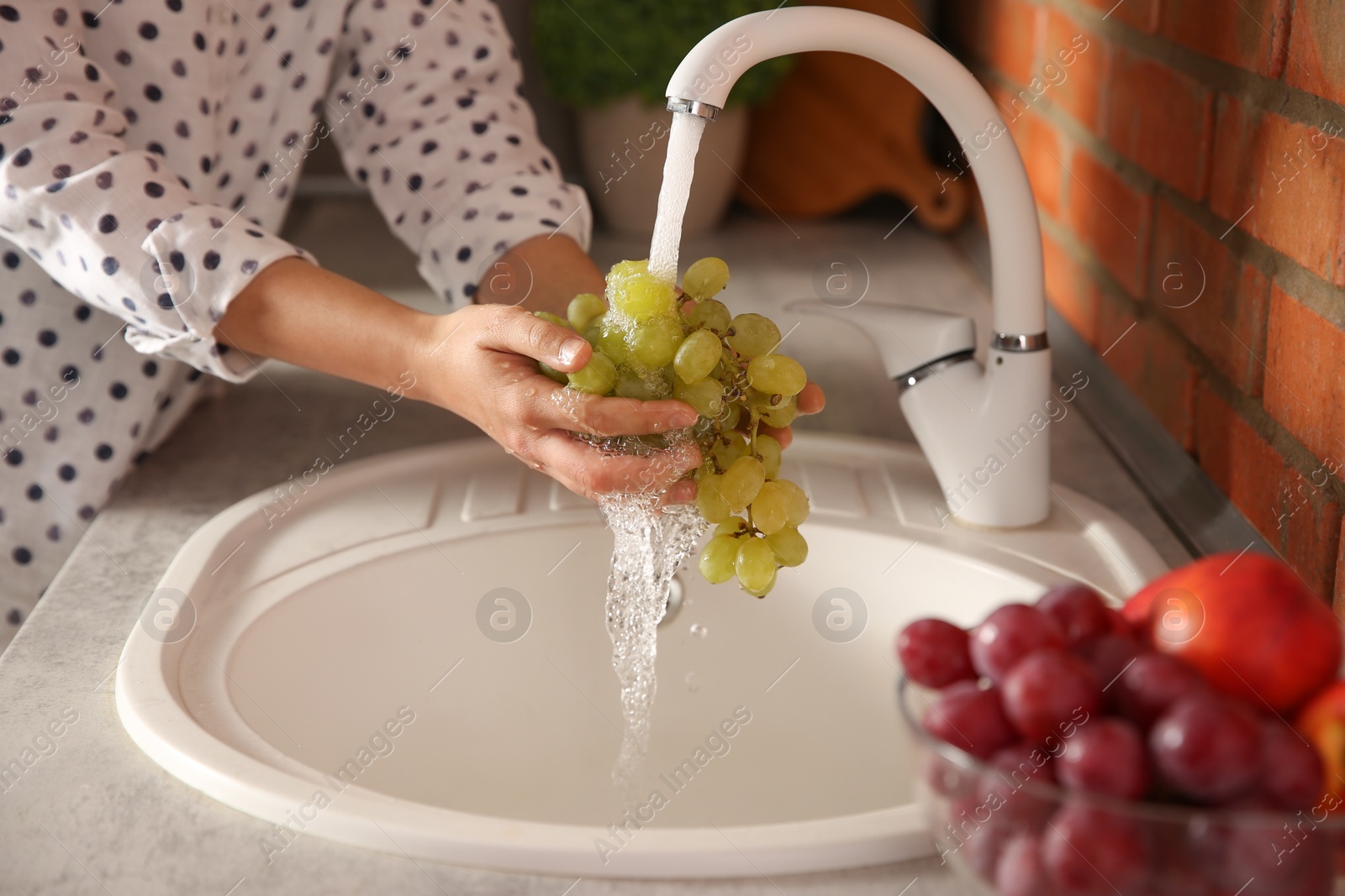 Photo of Woman washing fresh grapes in kitchen sink, closeup