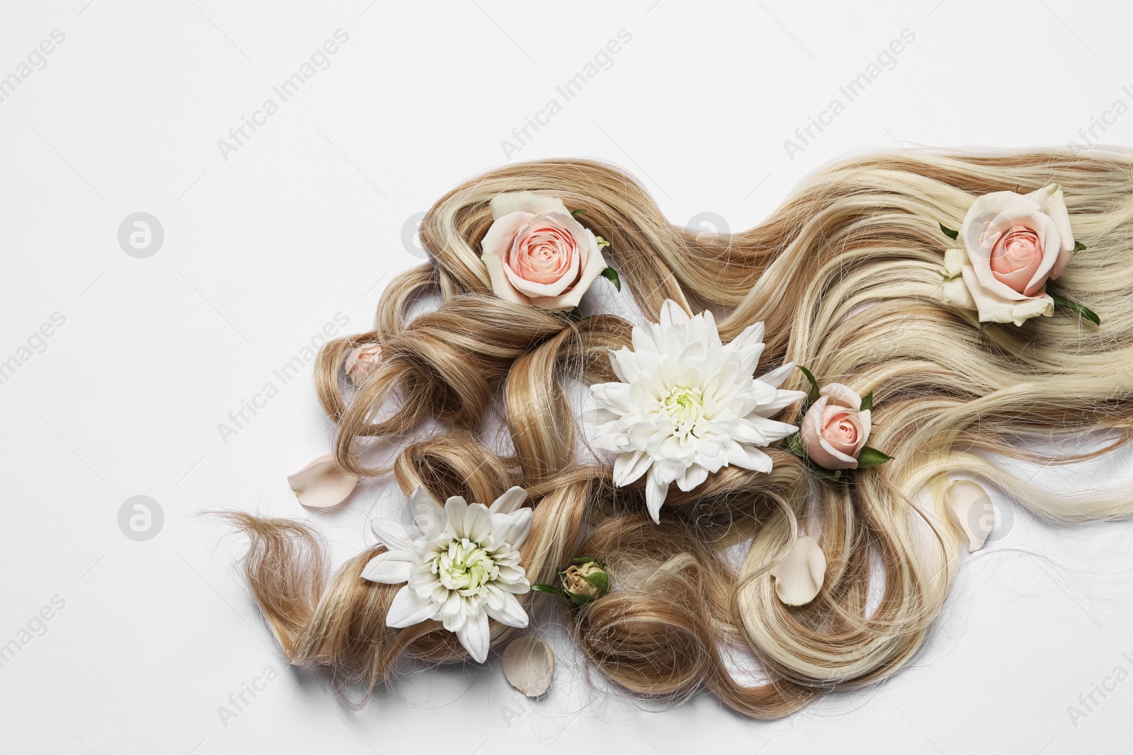 Photo of Lock of healthy blond hair with flowers on white background, top view