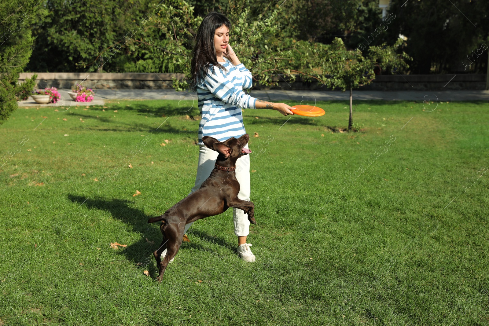 Photo of Woman and her dog playing with flying disk in park