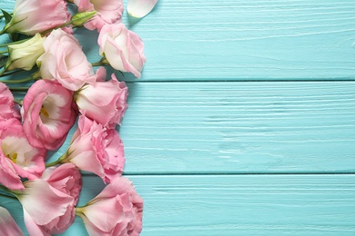 Photo of Flat lay composition with beautiful Eustoma flowers on light blue wooden table, space for text