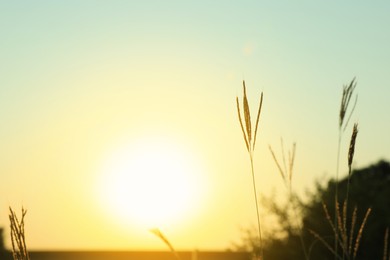 Photo of Picturesque view of spikes against sunrise in morning