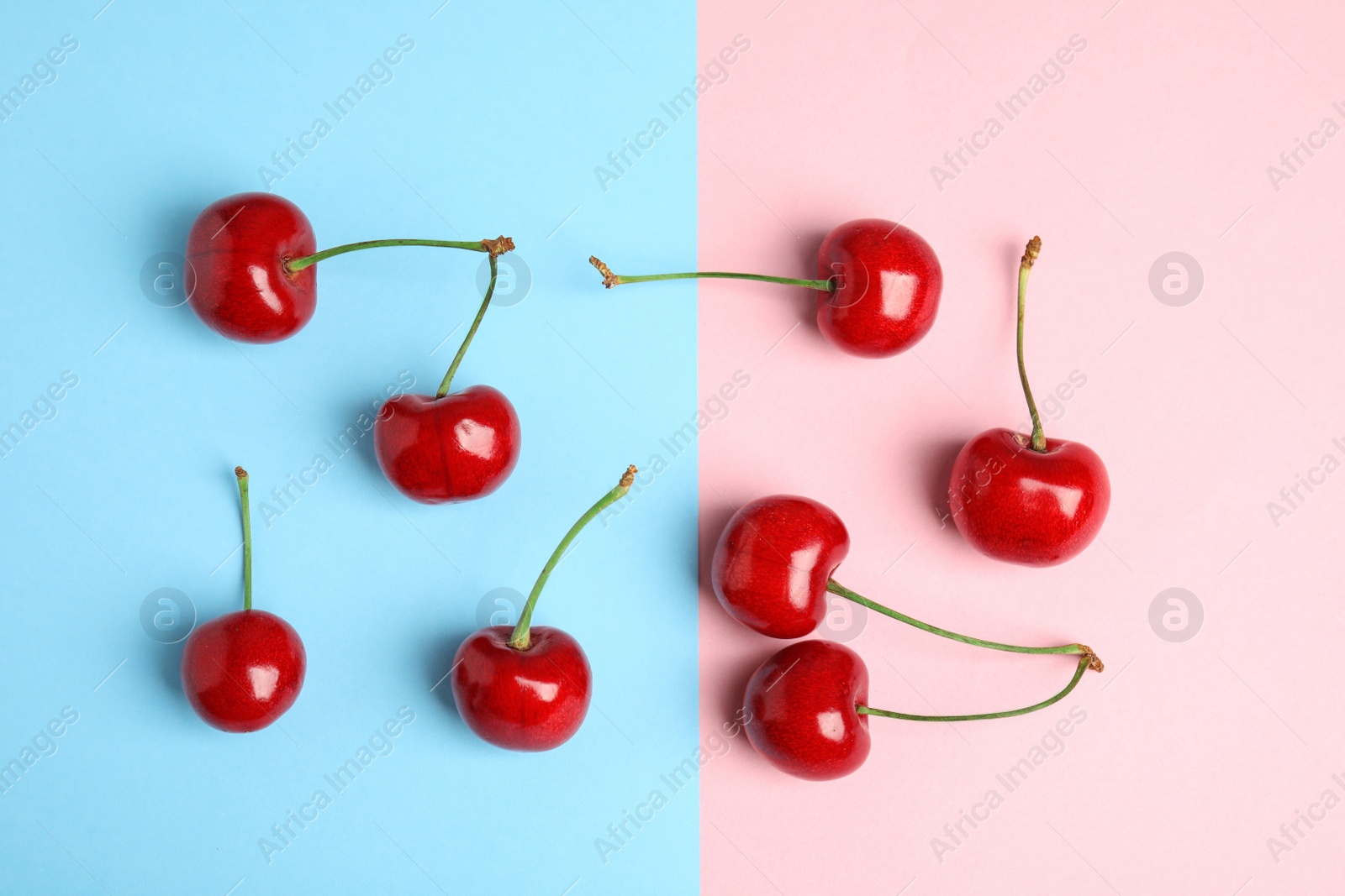 Photo of Flat lay composition with sweet cherries on color background