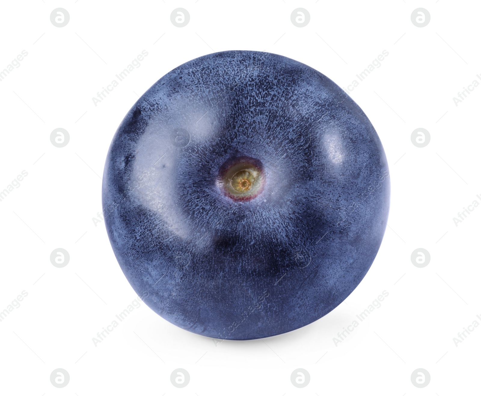 Photo of One ripe tasty blueberry isolated on white