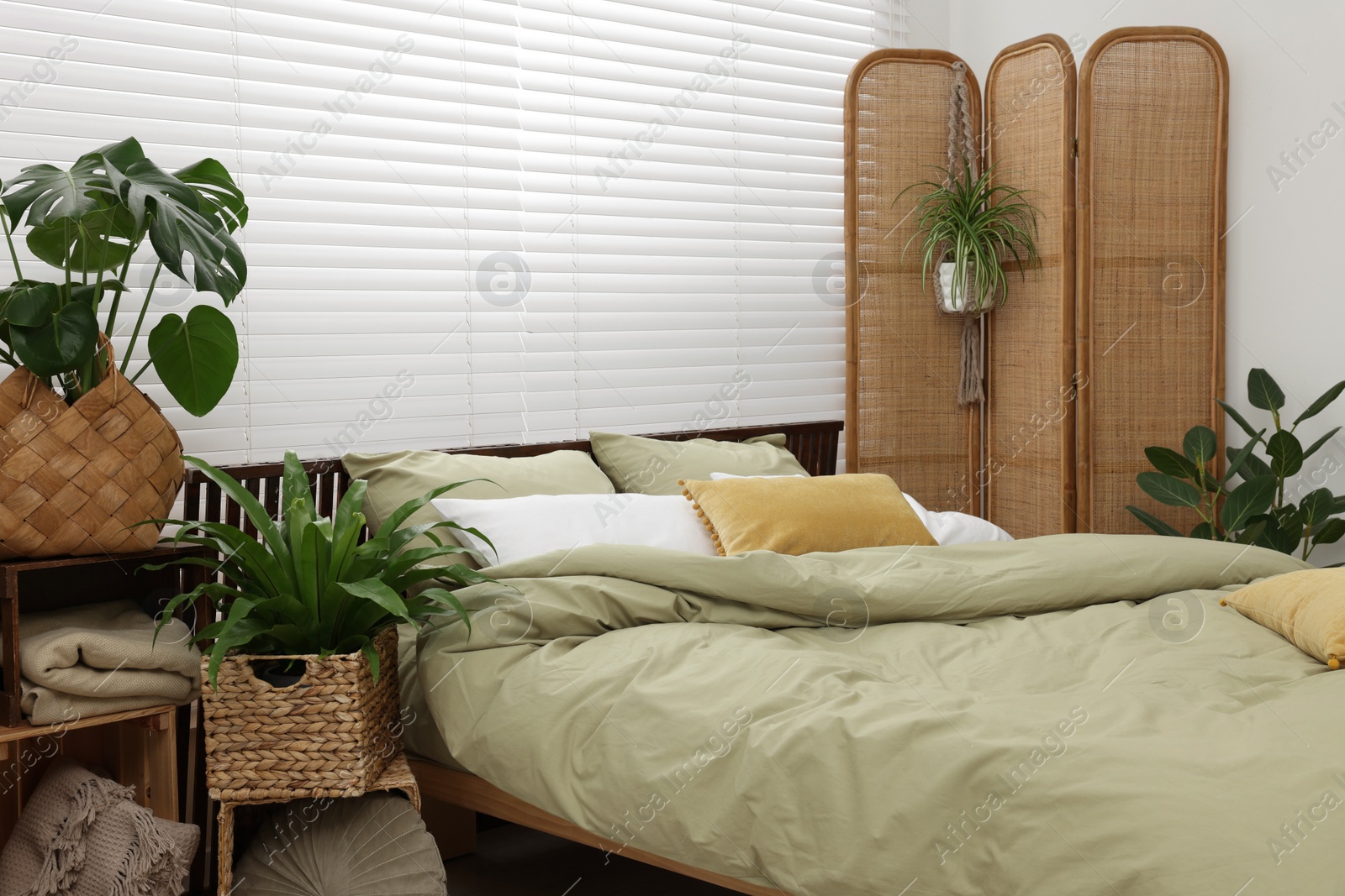 Photo of Comfortable bed and beautiful green houseplants in bedroom