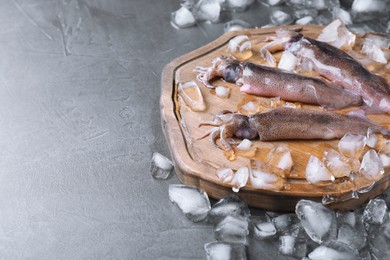 Photo of Fresh raw squids with ice on black table, space for text