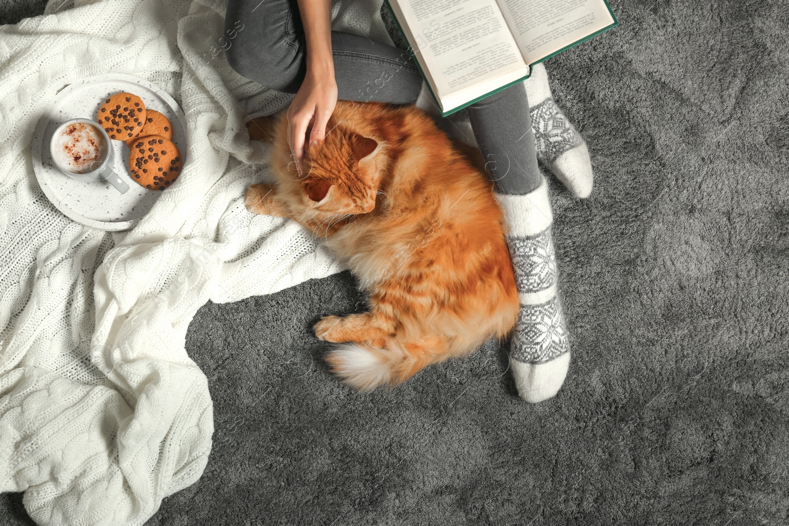 Photo of Woman with cute red cat and book on grey carpet, top view