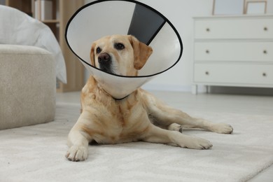 Photo of Cute Labrador Retriever with protective cone collar on floor in room