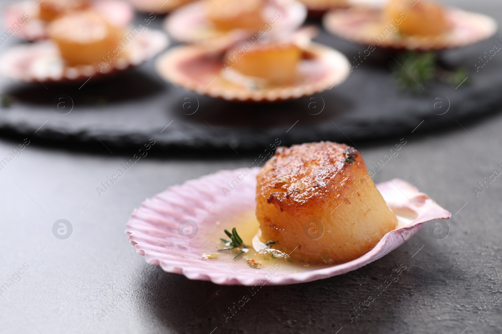 Photo of Delicious fried scallop in shell on grey table, closeup. Space for text