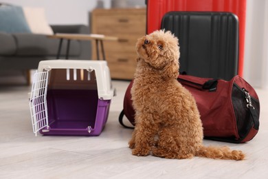 Photo of Travel with pet. Cute dog, carrier and bag on floor indoors