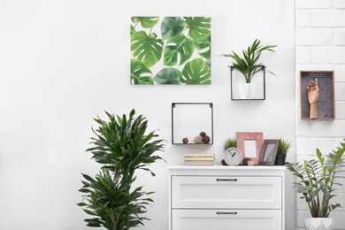 Photo of Stylish modern room interior with exotic houseplants