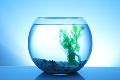 Photo of Glass fish bowl with clear water, plant and decorative pebble on blue background