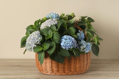 Photo of Beautiful hortensia flowers in basket on wooden table near beige wall