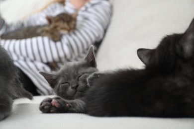 Photo of Little girl with fluffy kittens on sofa indoors, selective focus