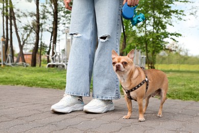 Photo of Owner walking with her chihuahua dog in park, closeup