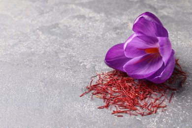 Photo of Dried saffron and crocus flower on grey table, space for text