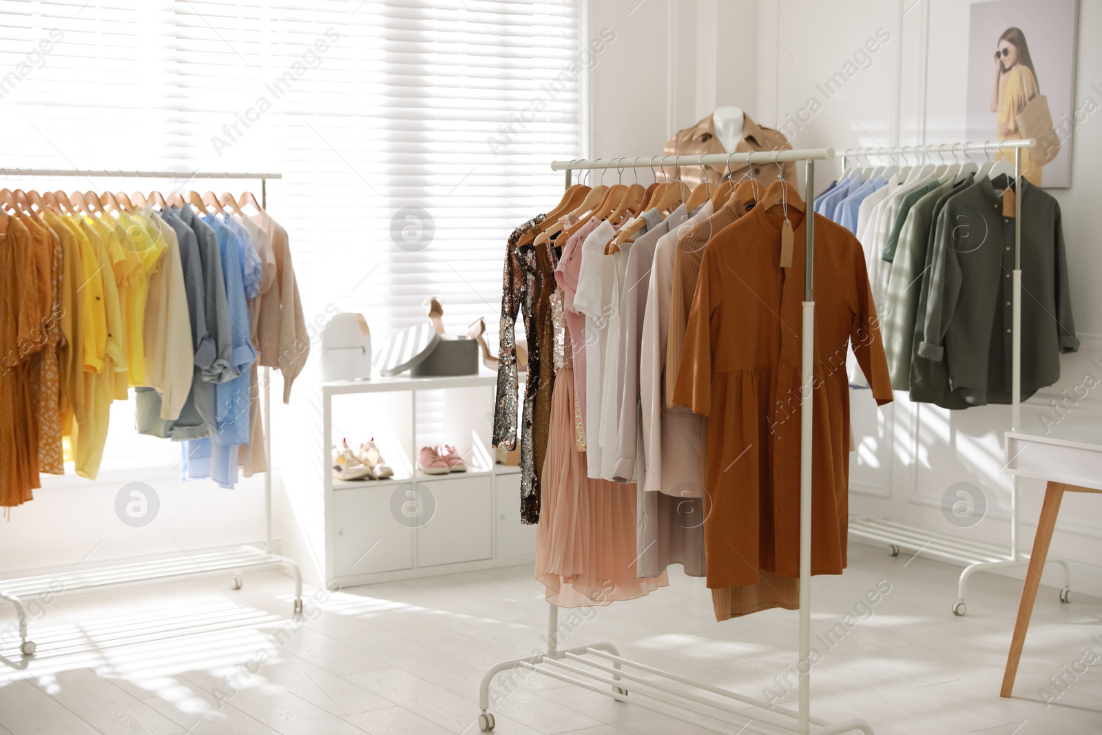 Photo of Stylish women's clothes and accessories in modern boutique