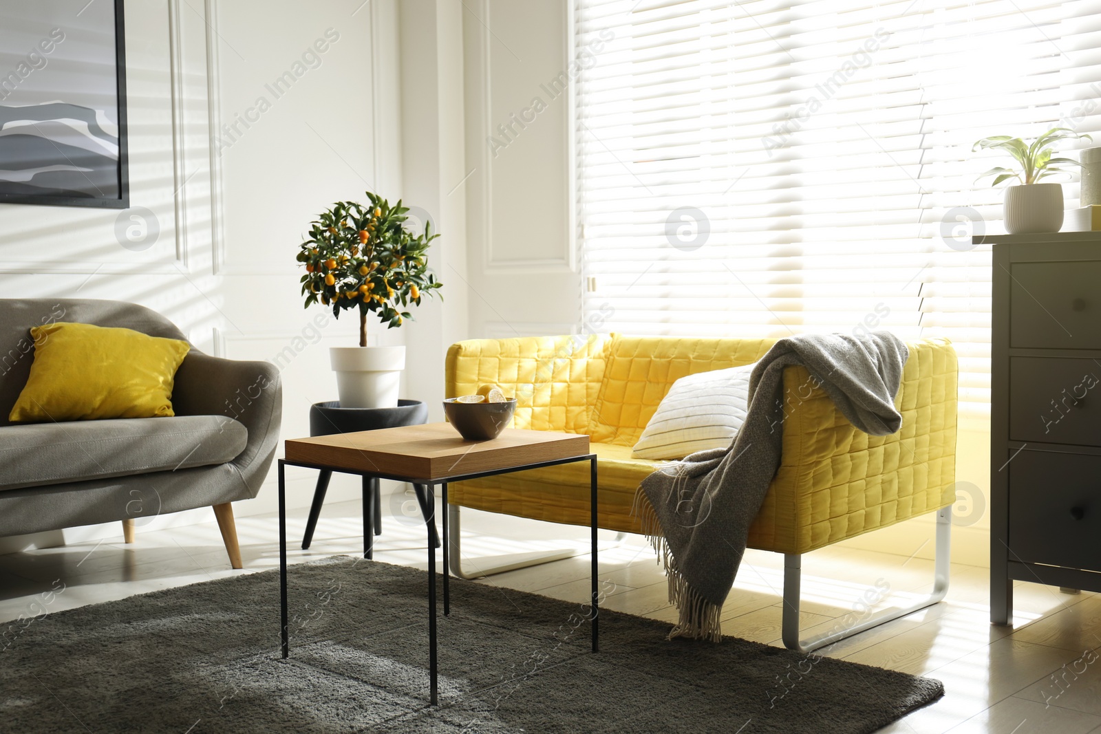 Photo of Stylish living room with sofas. Interior design in grey and yellow colors