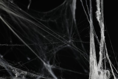 Creepy white cobweb on black background, closeup