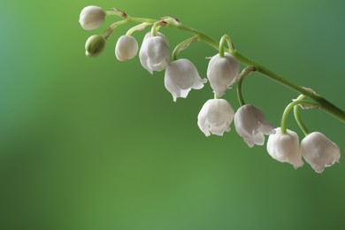 Photo of Beautiful lily of the valley flower on blurred green background, closeup. Space for text