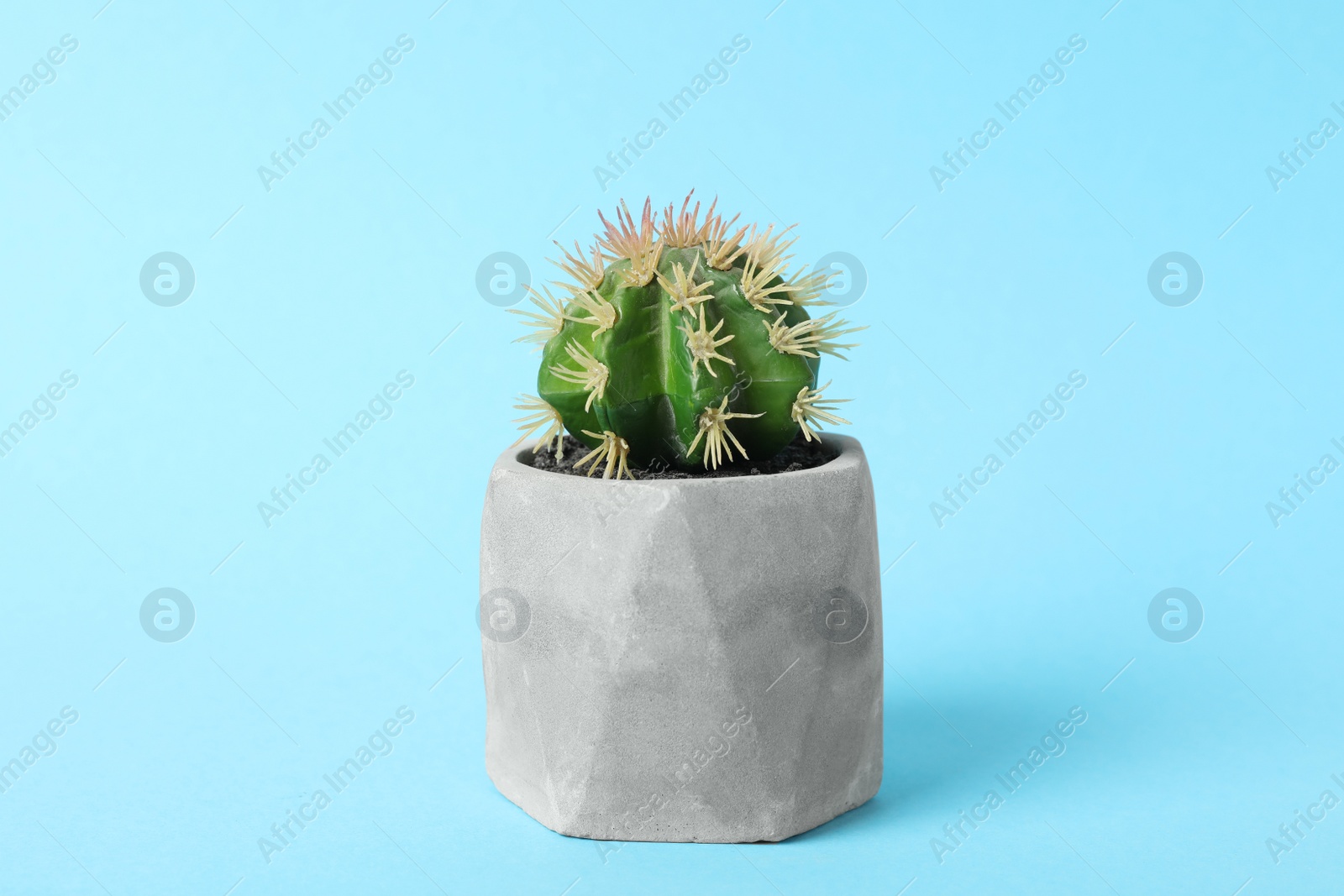 Photo of Beautiful artificial plant in flower pot on light blue background